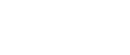 Sylvester Forensics Inc.